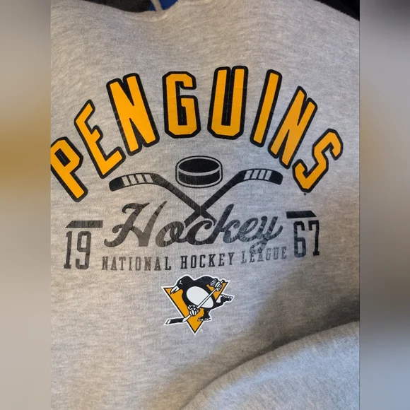 Gray Pittsburgh Penguins Hockey Hoodie - Picture 9 of 10